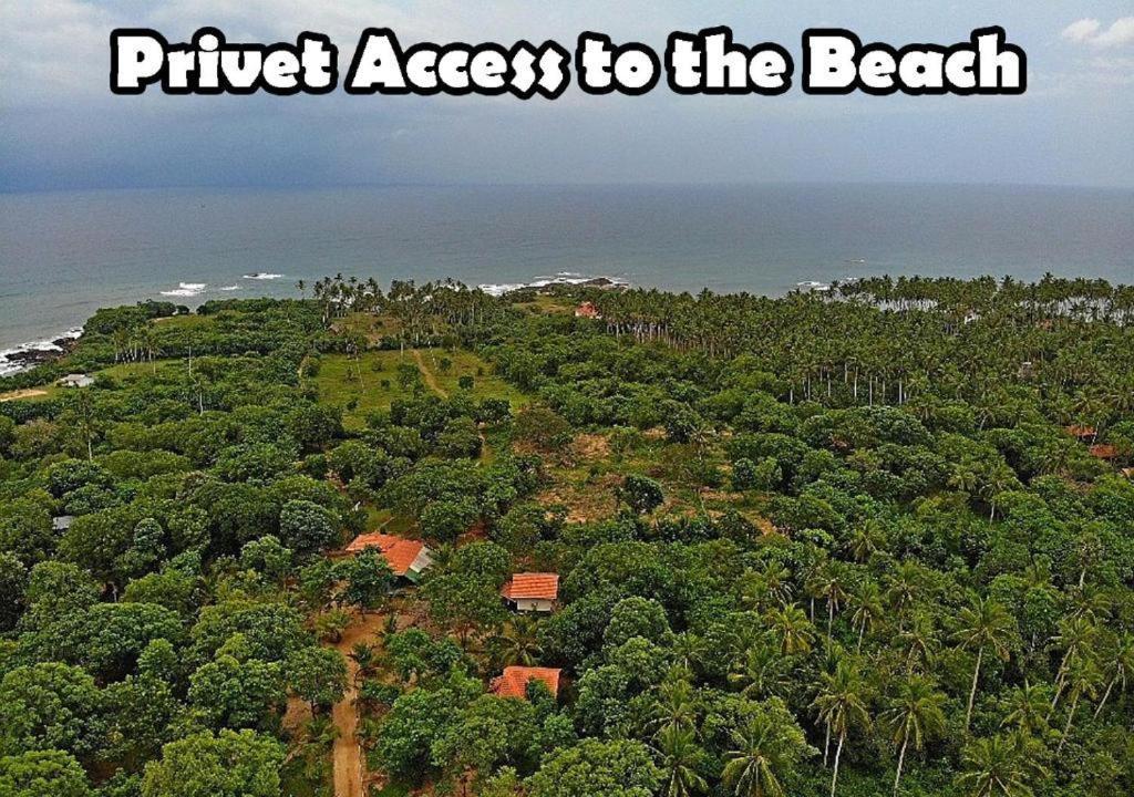 Turtles View Resort Tangalle Exterior photo