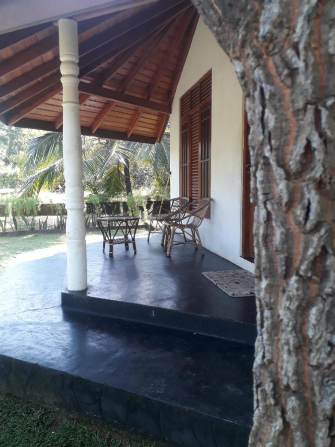 Turtles View Resort Tangalle Exterior photo