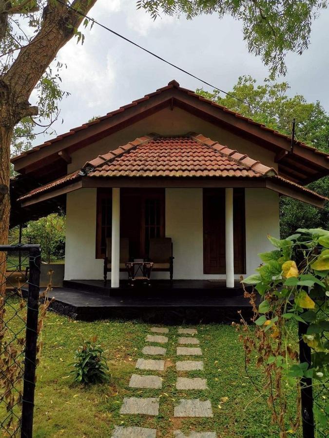 Turtles View Resort Tangalle Exterior photo