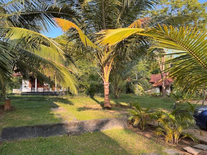 Turtles View Resort Tangalle Exterior photo
